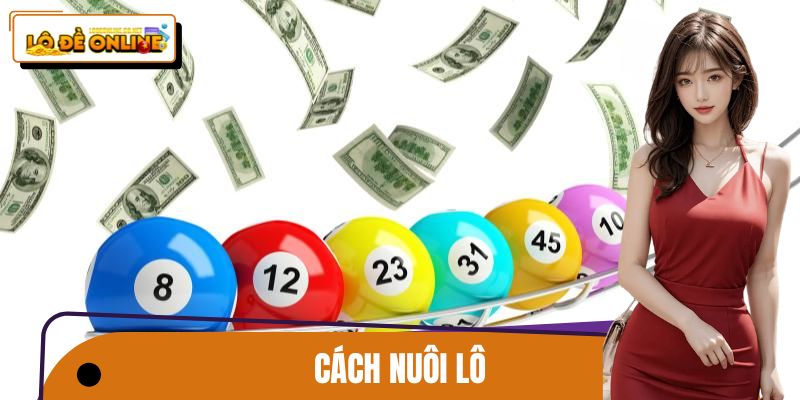Cách Nuôi Lô Chuẩn Cao Thủ – Chia Khung Chơi Lô Đề Online