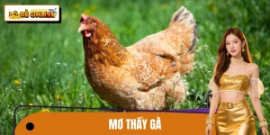 Mơ Thấy Gà – Giải Mã Điềm Báo Qua Lăng Kính Hiện Đại