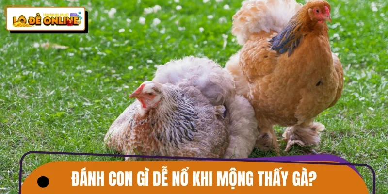 Đánh con gì dễ nổ khi mộng thấy gà